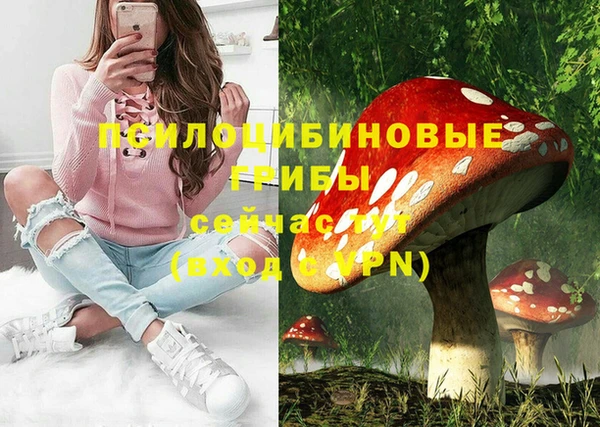 дмт Балахна