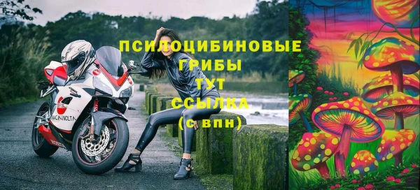 бошки Беломорск