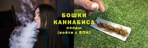 гашик Белоозёрский