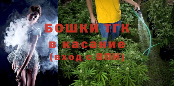 гашик Белоозёрский